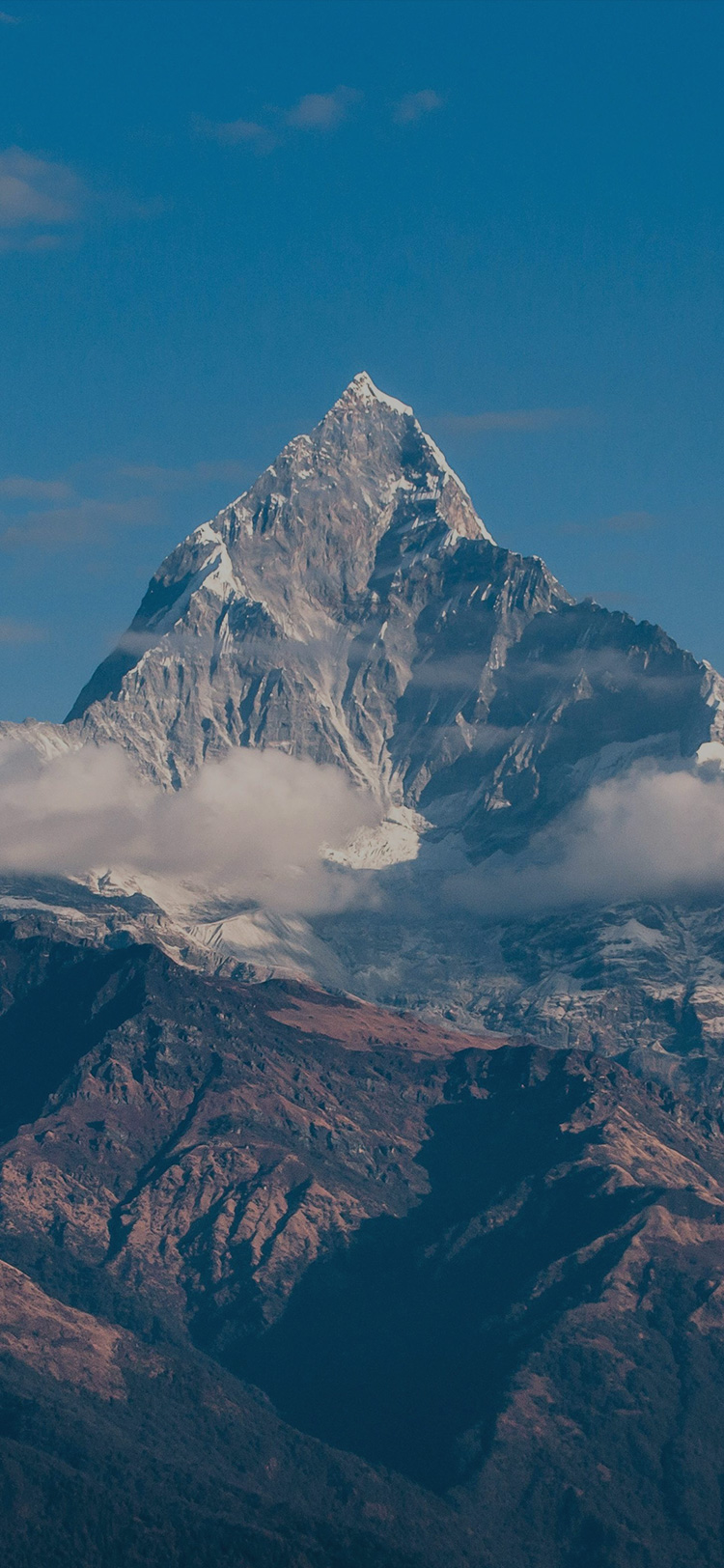 История развития